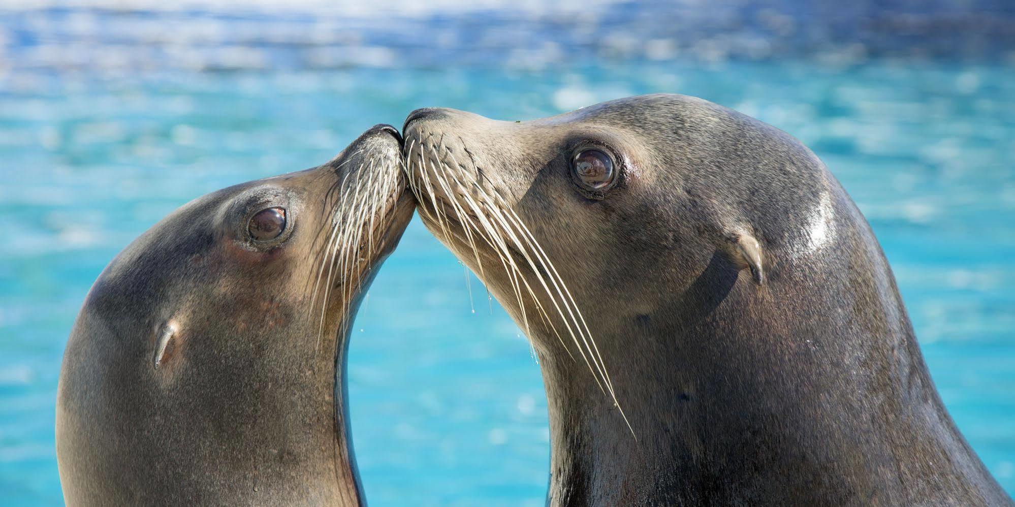 Marineland